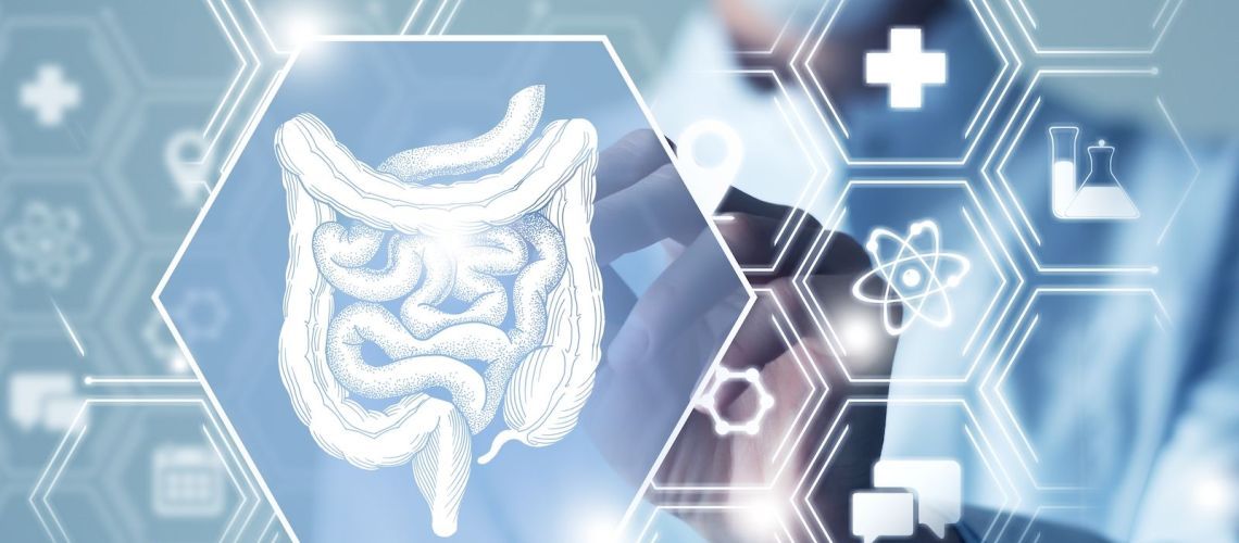 Le cancer colorectal : prévention, symptômes et traitements