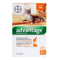 Advantage-40 Chat/Lapin Pipet 4