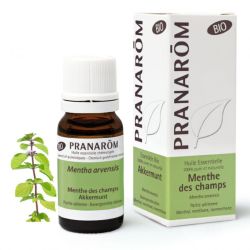 Menthe Champ Bio Pranarom He 10Ml