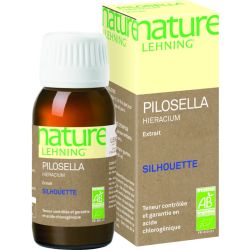 Nature Lehning Pilosella Hieracium (Piloselle)
