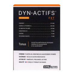 Synactifs Dynactifs Gél B/30