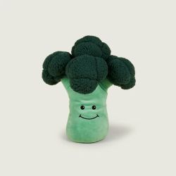 Bouillotte Brocoli
