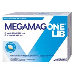 Megamag One LIB Cpr 45