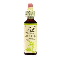 Fleurs De Bach Wild Rose Elixir Flora 20Ml