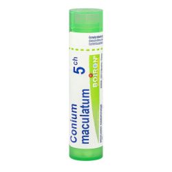 Conium Maculatum 5Ch Tube granule Boiron