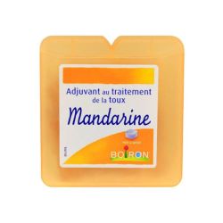 Mandarine Boiron Pate Pect 60G