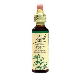 Fleurs De Bach Holly Elixir Floral 20Ml