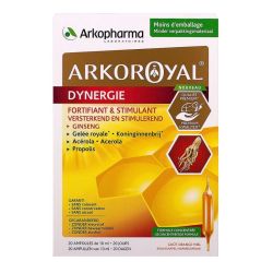 Arkoroyal Gelee Royal Dynergie Amp