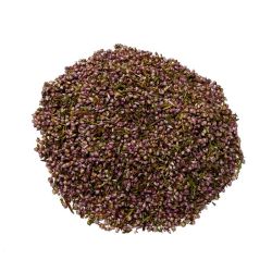 Tisane de Valériane - Valeriana officinalis - Racine coupée en Vrac 100g