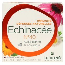 Echinacée n°40 immunité 6 plantes 30ml