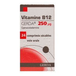 Vit B12 250Mcg Gerda Cpr Secable24