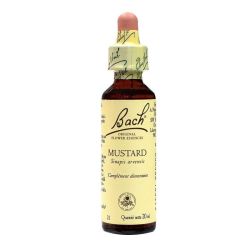 Fleurs De Bach Mustard Elixir Floral 20Ml