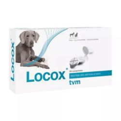 Locox Cpr Bt  30          Veto