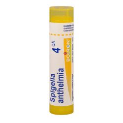 Spigelia anthelmia tube granules 4CH