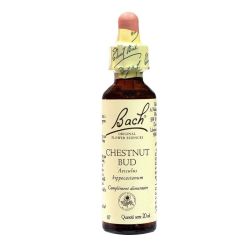 Fleurs De Bach Chestnut Bu Elixir Floral 20Ml