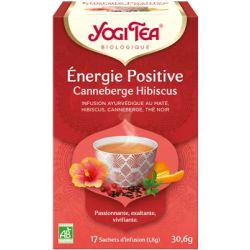 Yogi Tea Energ Positiv Bio Sach 17