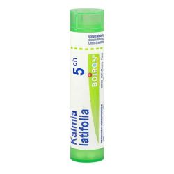 Kalmia Latifolia 5Ch Tube Granules