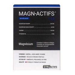 Synactifs Magnactifs Gél B/60