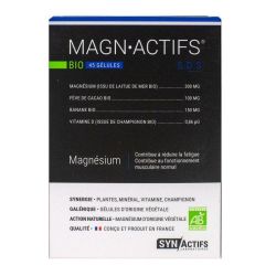 Synactifs Magngreen Gél B/45