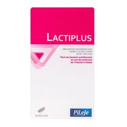 Lactiplus Gelule 56