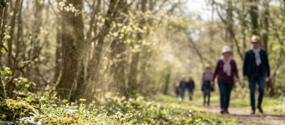 Allergies Saisonnières : Guide Complet pour Prévenir et Soulager le Rhume des Foins