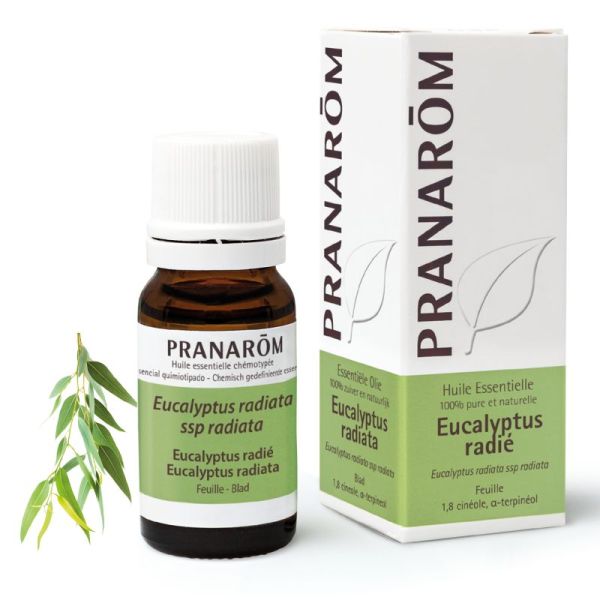 Eucalypt Rad Pranarom He 10Ml