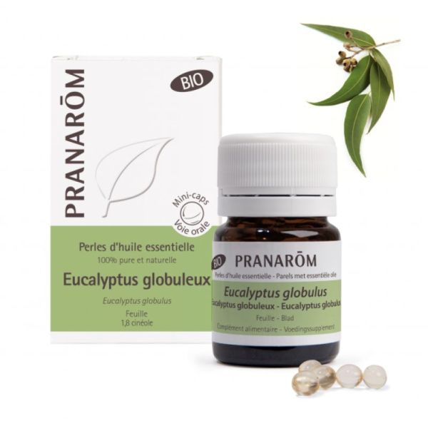 Pranarom Eucalypt Glob He Perle 60