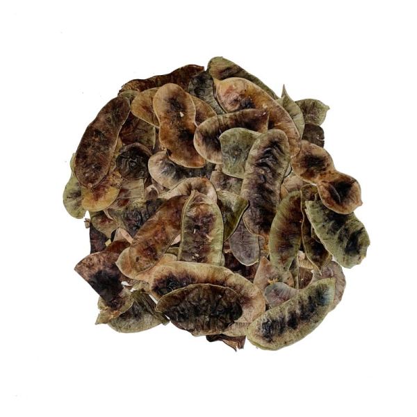 TISANE SENE – CASSIA ANGUSTIFOLIA FEUILLES COUPEES – Pharmacie Des