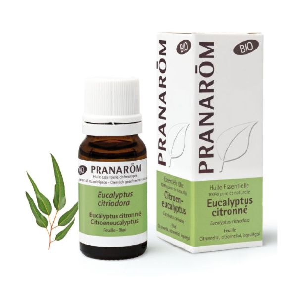 Eucalypt Citr Bio Pranarom He 10Ml