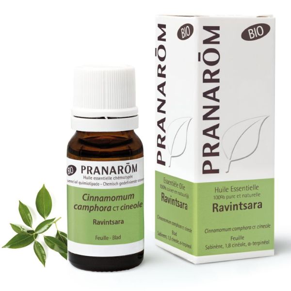 Ravintsara Bio Pranarom He 10Ml