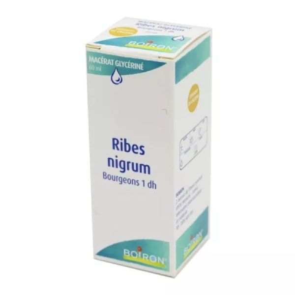 Ribes Nigrum Bourgeons 1Dh Mg 125ml Boiron