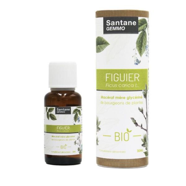 Figuier Bio Santane Gemmo 30Ml