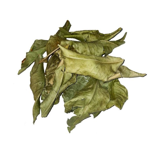 Tisane Séné foliole coupée Iphym - Digestion - Pharmacie en ligne