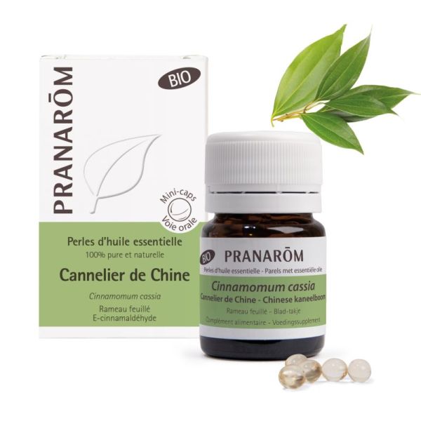 Pranarom Cannelier Chin Bio Perl60