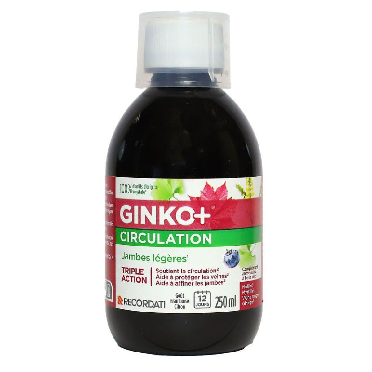 Ginko Circulation 250ml Sant Vasculaire Et nergie Naturelle