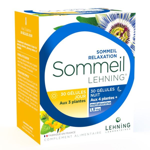 Sommeil Lehning