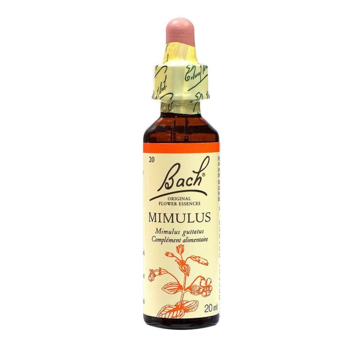 Mimulus fleurs de promo bach